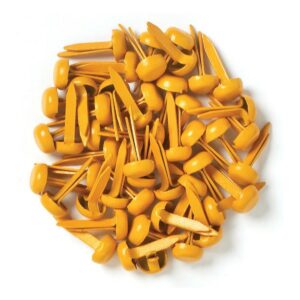 Mini Brads - Tangerine